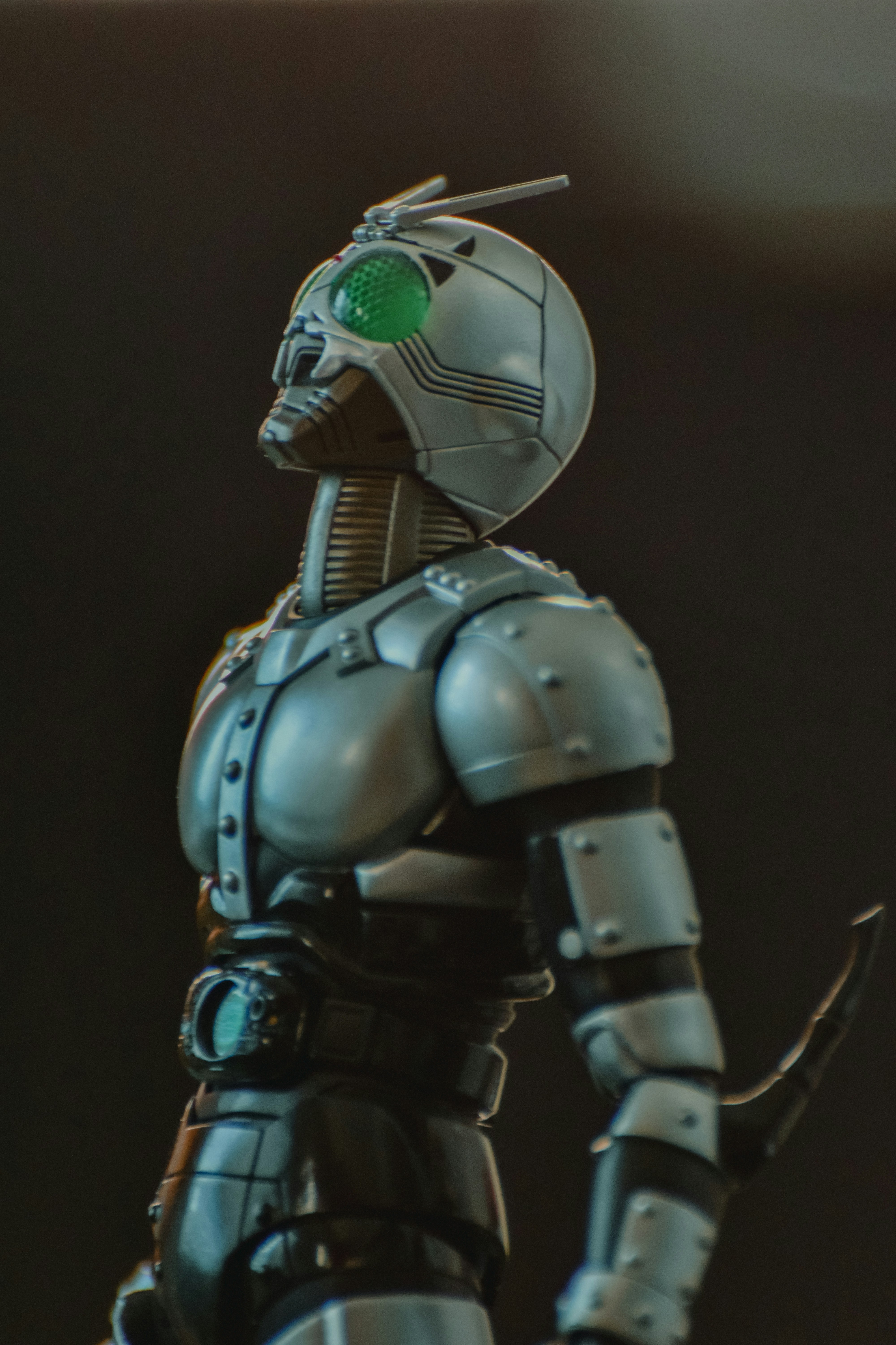 Humanoid Robot Companion