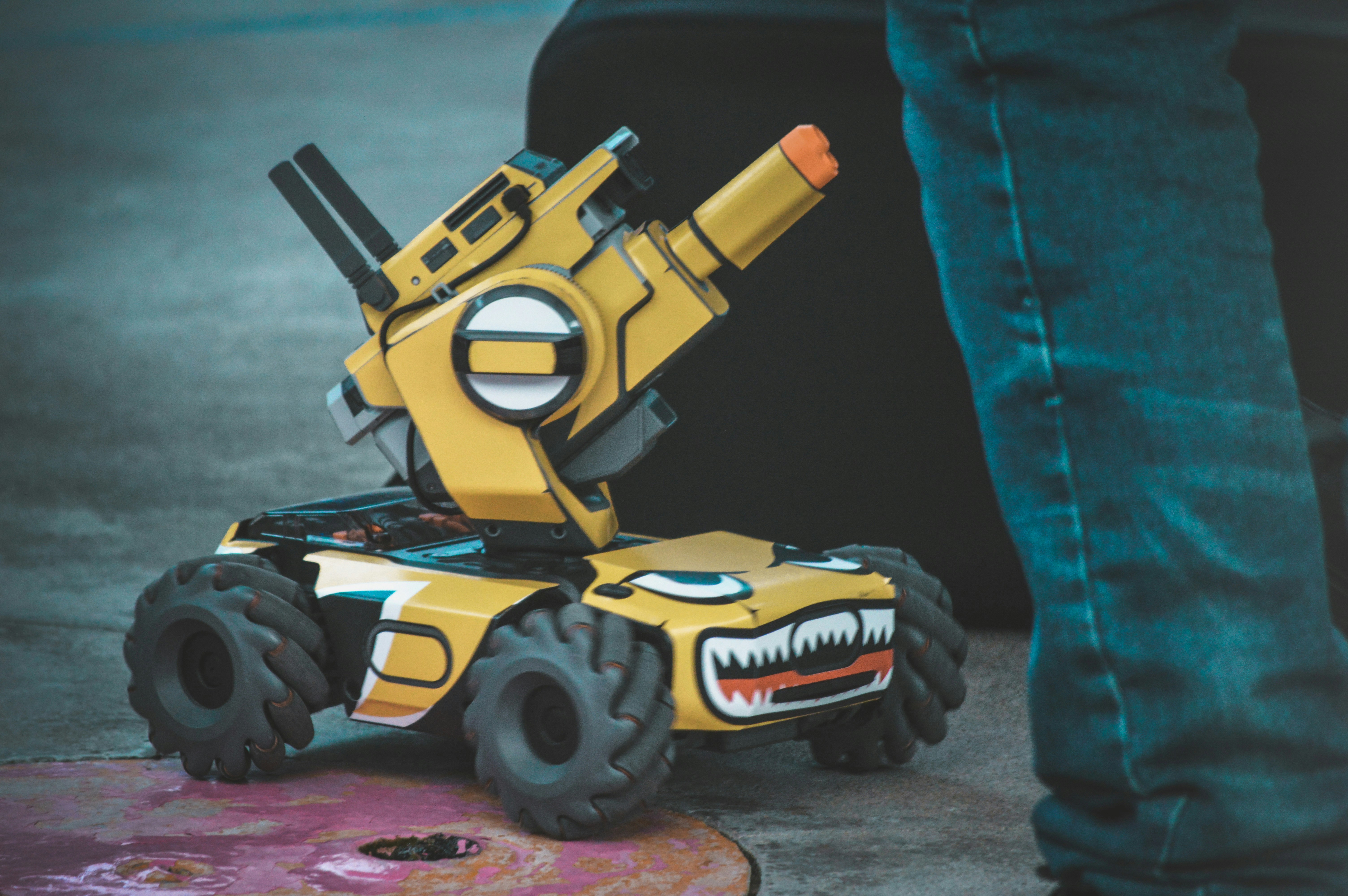 Interactive Robot Pet